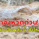 สำนักงานทรัพยากรน้ำแห่งชาติ ออกประกาศ น้ำท่วมฉับพลัน น้ำป่าไหลหลาก