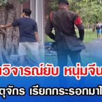 ชาวเน็ตวิจารณ์ยับ หนุ่มจีนพาแมวเข้าสวนจตุจักร เรียกกระรอกมาให้แมวตะครุบเล่น