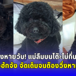 ทองหายวับ! แม่ลืมบนโต๊ะไม่กี่นาที น้องฮักจัง จัดเต็มจนต้องวิ่งหาหมอ