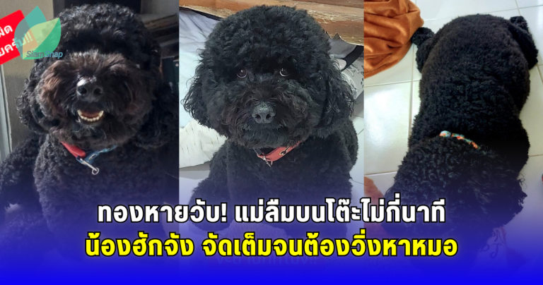 ทองหายวับ! แม่ลืมบนโต๊ะไม่กี่นาที น้องฮักจัง จัดเต็มจนต้องวิ่งหาหมอ